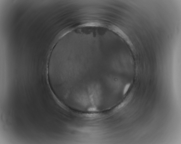 X0000088691425200706281953