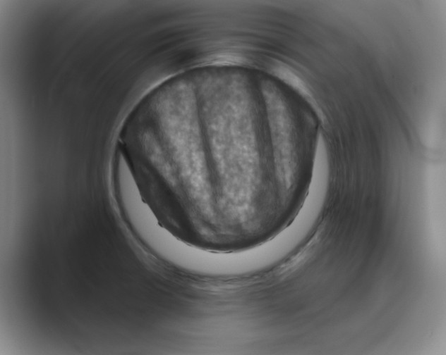 X0000088691426200706281953