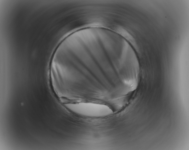 X0000088691428200706281953