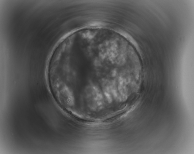 X0000088691429200706281953