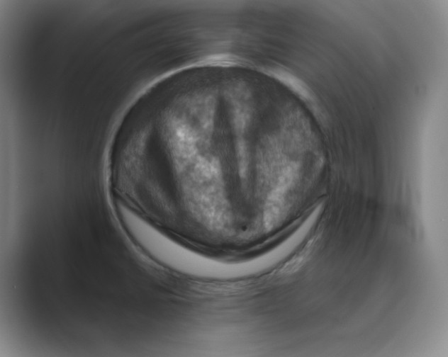 X0000088691430200706281953