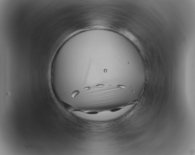 X0000088691431200706281953