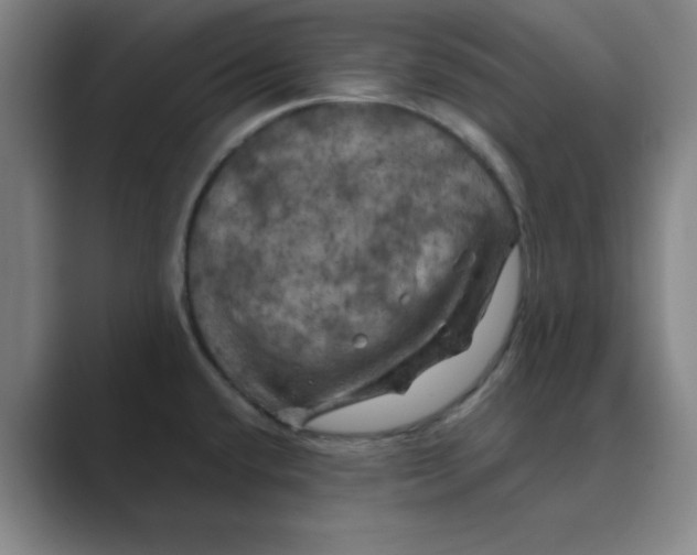 X0000088691432200706281953