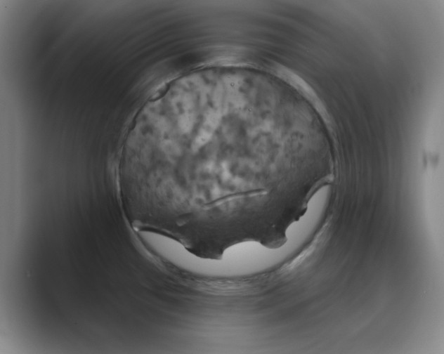X0000088691433200706281953