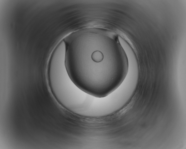 X0000088691434200706281953