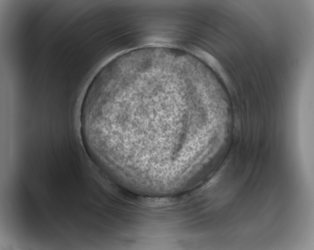X0000088691435200706281953