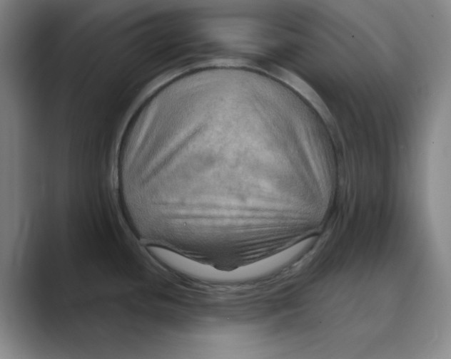X0000088691436200706281953