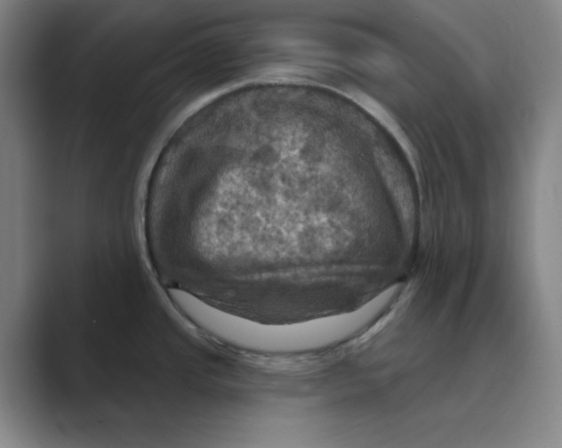 X0000088691437200706281953