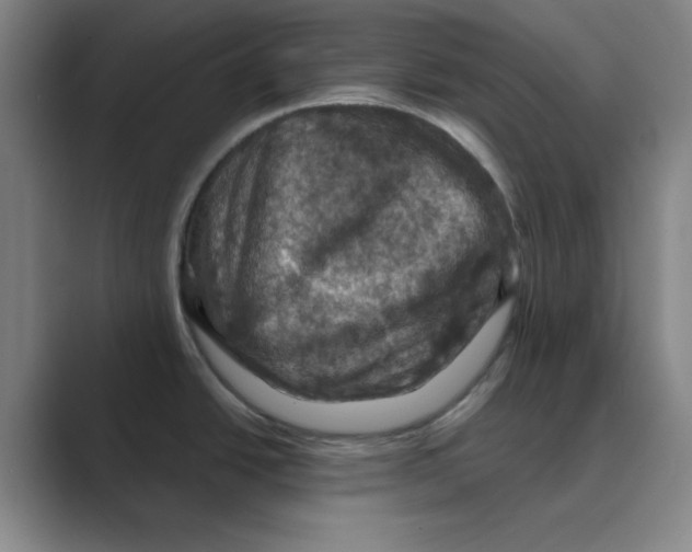 X0000088691438200706281953