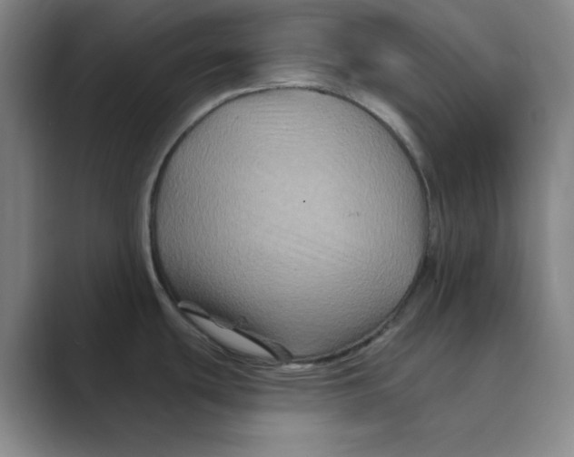 X0000088691439200706281953