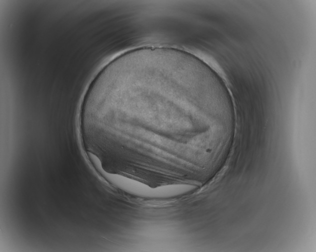 X0000088691440200706281953