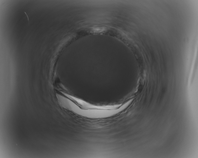X0000088691441200706281953