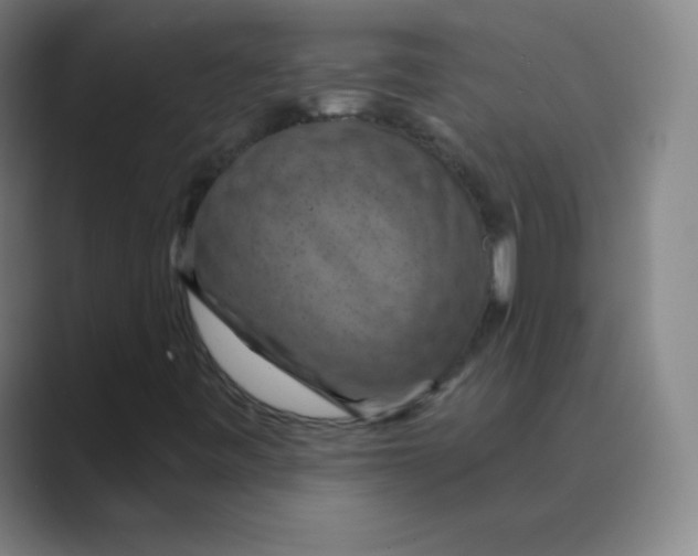 X0000088691443200706281953