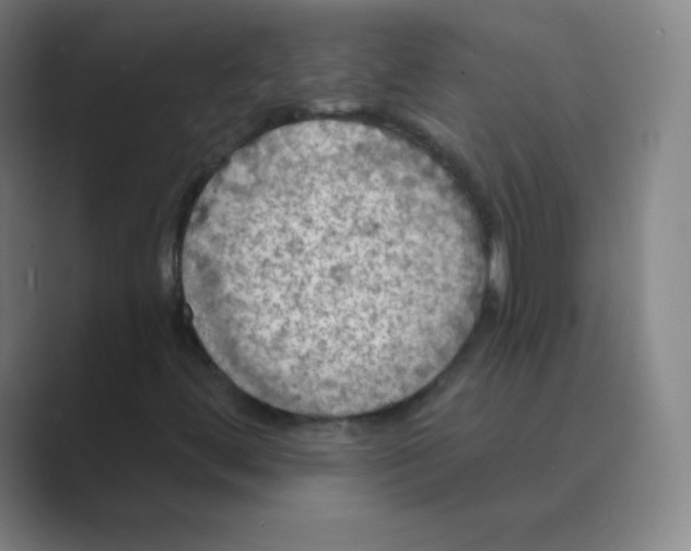 X0000088691444200706281953