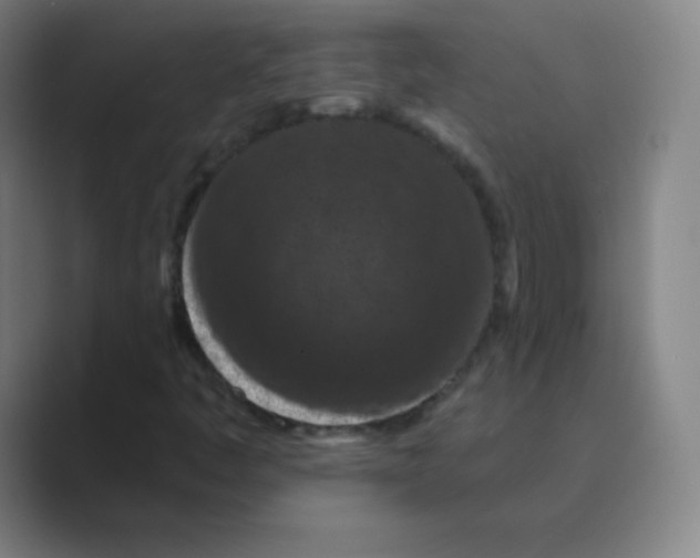 X0000088691445200706281953