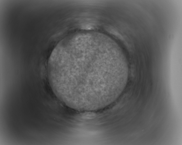 X0000088691446200706281953