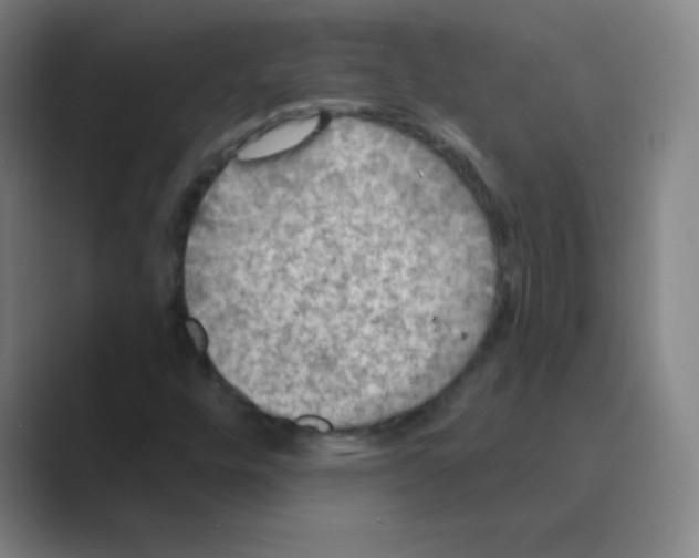 X0000088691448200706281953