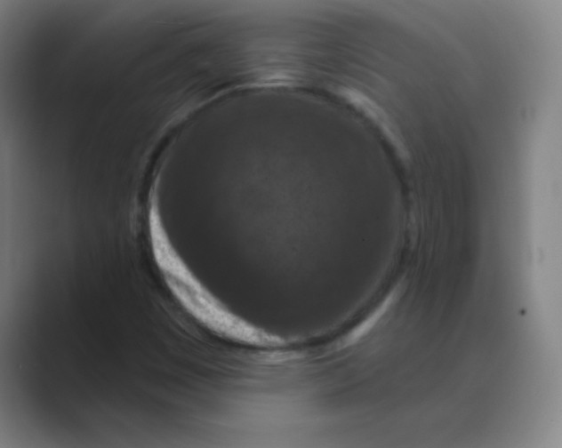 X0000088691449200706281953