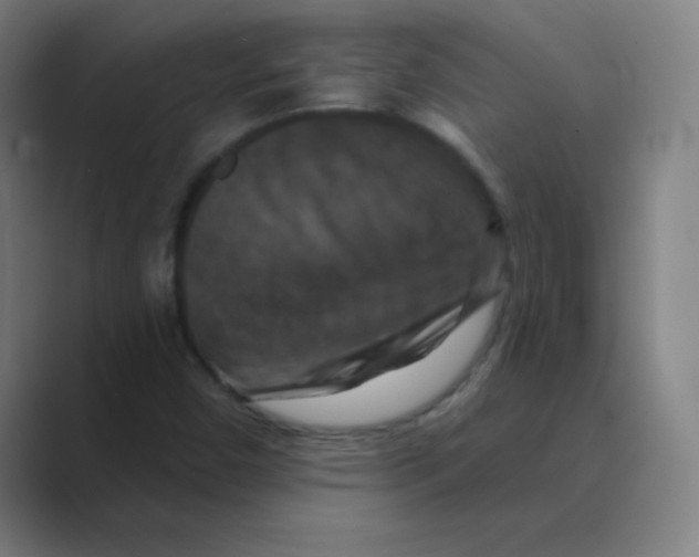 X0000088691450200706281953