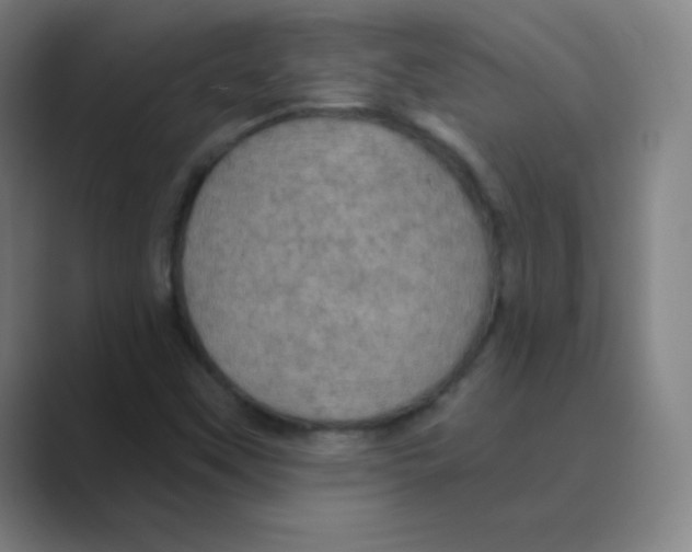 X0000088691451200706281953