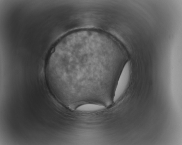 X0000088691452200706281953