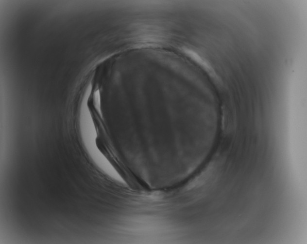 X0000088691453200706281953