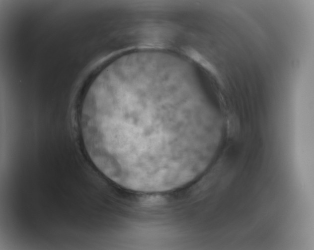 X0000088691454200706281953
