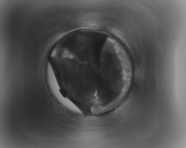 X0000088691455200706281953