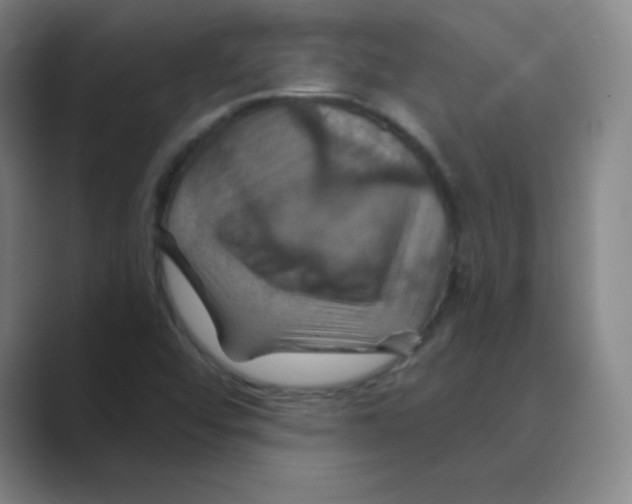 X0000088691456200706281953