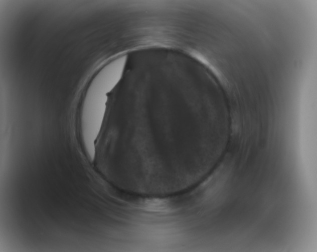X0000088691459200706281953