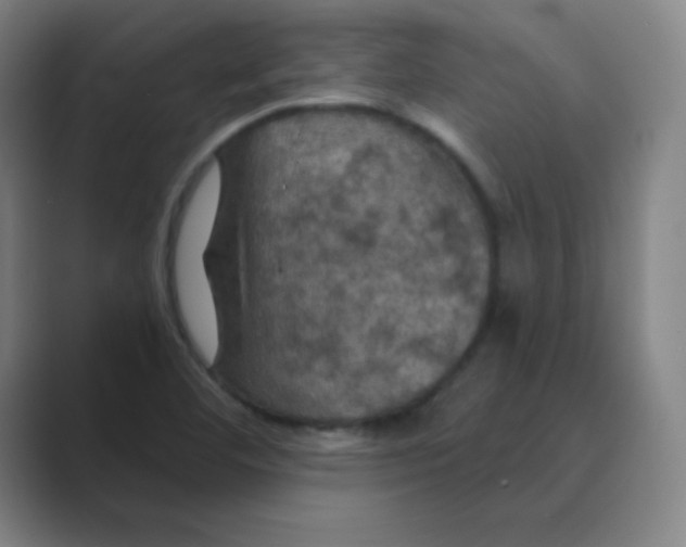 X0000088691460200706281953