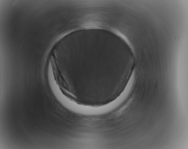 X0000088691461200706281953