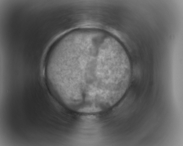 X0000088691462200706281953