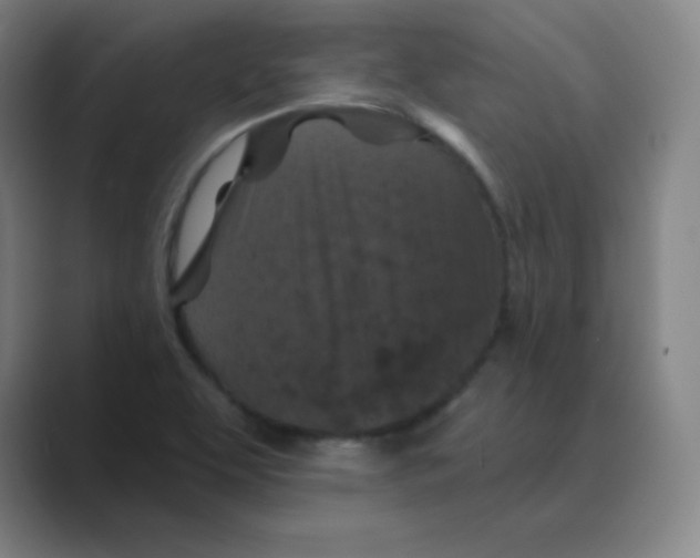 X0000088691463200706281953