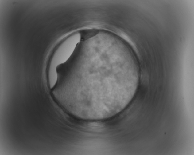 X0000088691464200706281952