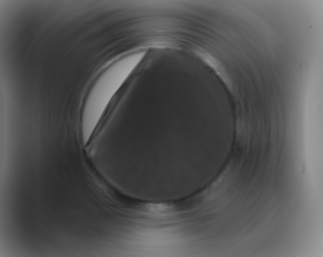 X0000088691465200706281952