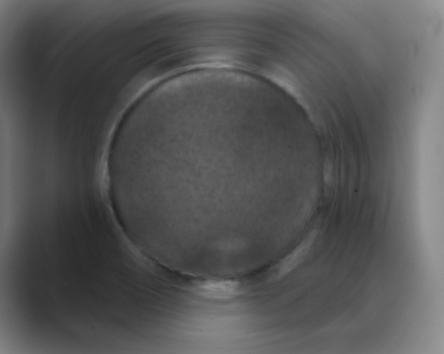 X0000088691466200706281952