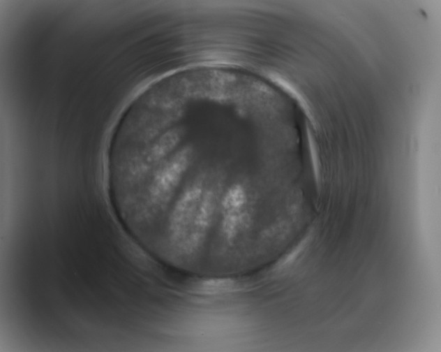 X0000088691467200706281952