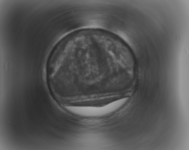 X0000088691468200706281952