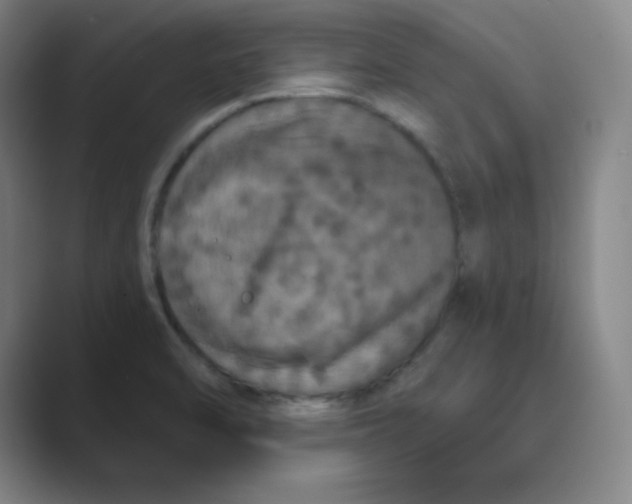 X0000088691470200706281952