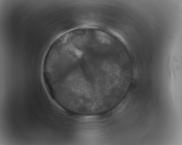 X0000088691471200706281952