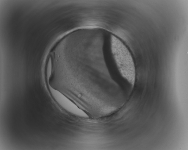 X0000088691472200706281952