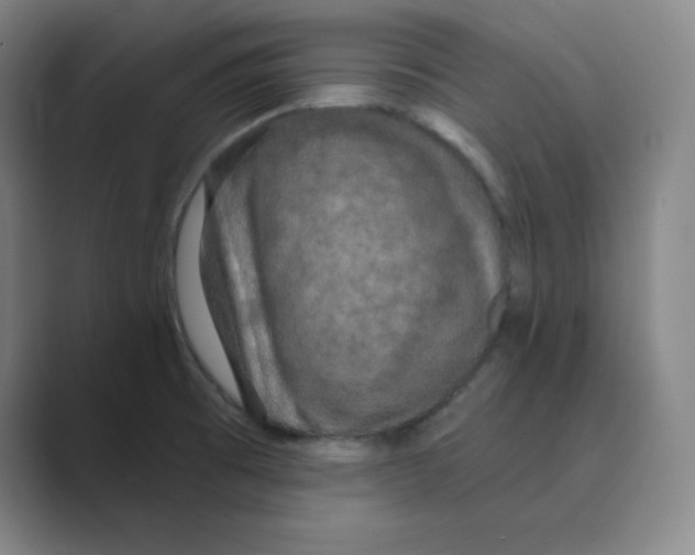 X0000088691473200706281952