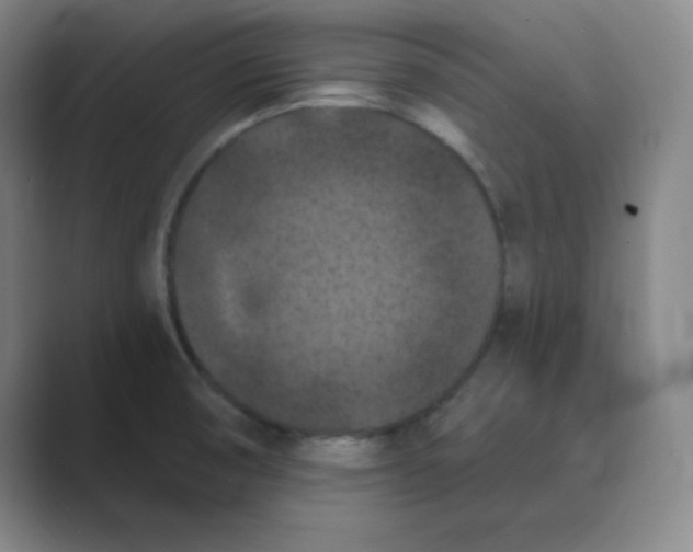 X0000088691474200706281952