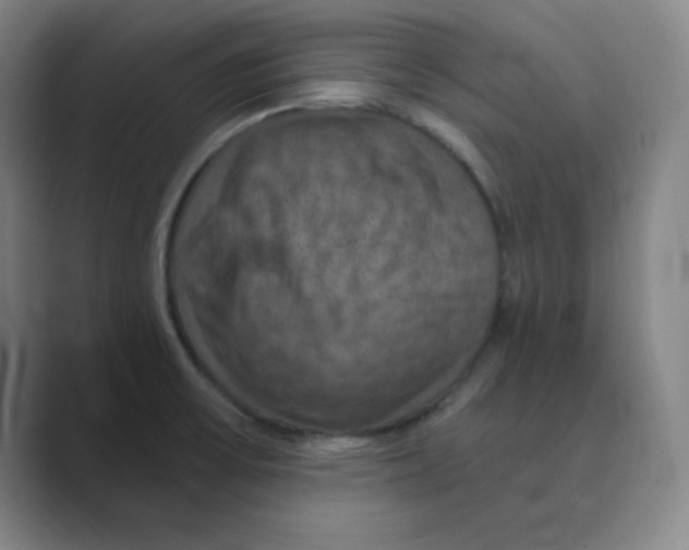 X0000088691475200706281952