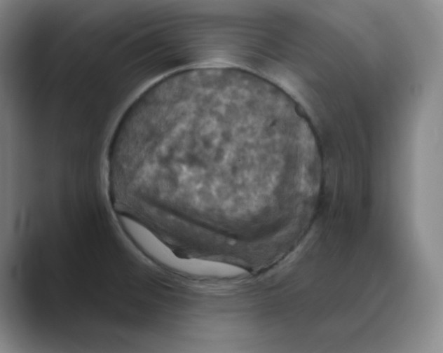 X0000088691476200706281952