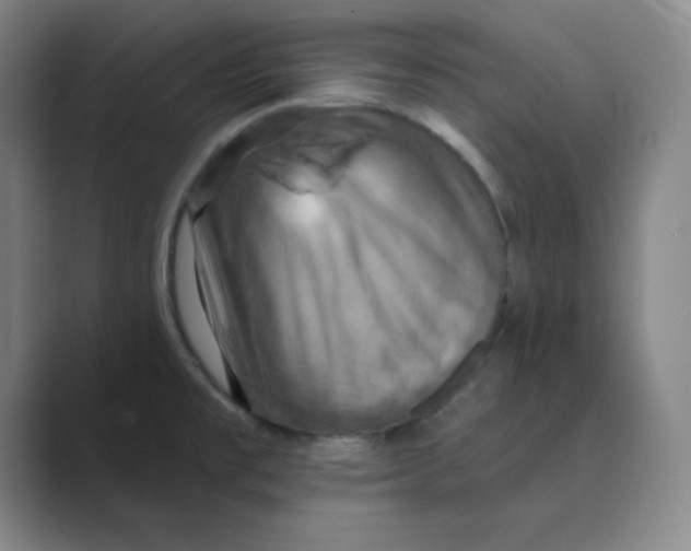 X0000088691477200706281952