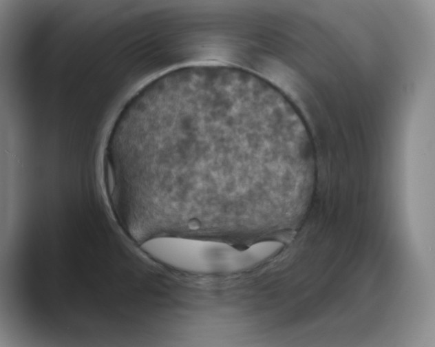 X0000088691480200706281952