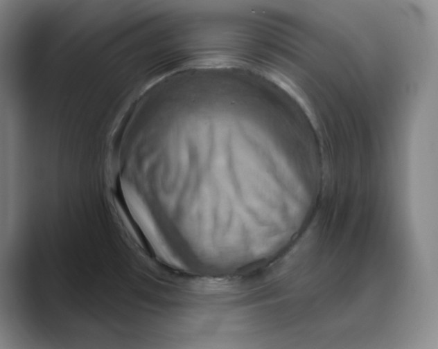 X0000088691481200706281952