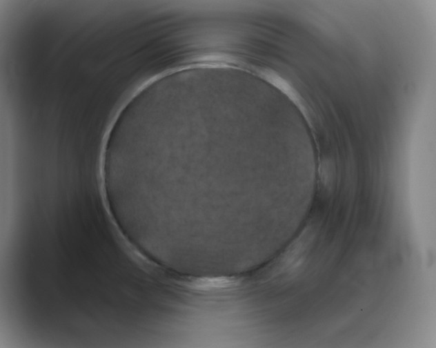 X0000088691482200706281952